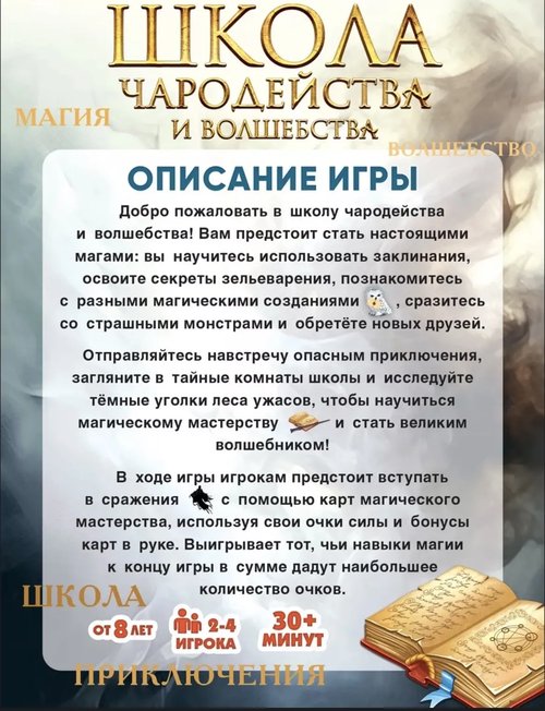 359290 Настольная игра "Школа чародейства"